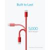 imageAnker USB C to USB C Cable TypeC 60W Fast Charging Cable 6 FT 2Pack for iPhone 17 Series iPad mini 6 and More BlackRed